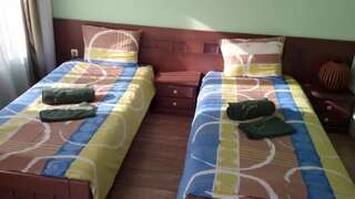 Гостевой дом Kyshta za Gosti Tam Krai Rekata Slivek Большой двухместный номер с 1 кроватью или 2 отдельными кроватями-12