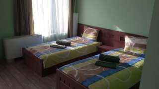Гостевой дом Kyshta za Gosti Tam Krai Rekata Slivek Большой двухместный номер с 1 кроватью или 2 отдельными кроватями-16