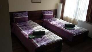 Гостевой дом Kyshta za Gosti Tam Krai Rekata Slivek Большой двухместный номер с 1 кроватью или 2 отдельными кроватями-21